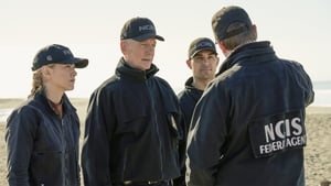 NCIS 17. évad Ep.12 Repülési terv