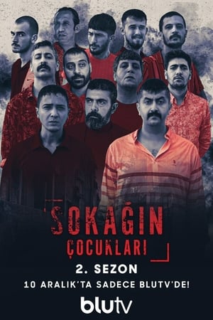 Sokağın Çocukları 2. évad (2020-12-10) poszter