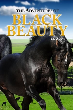 The Adventures of Black Beauty 1. évad (1972-09-17) poszter