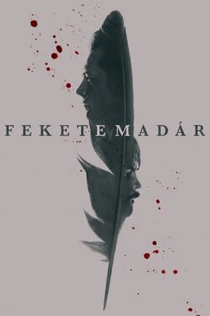 Fekete madár