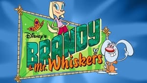 Brandy & Mr. Whiskers kép