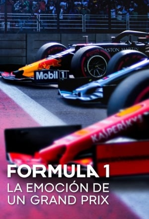 Formula 1: Hajsza a túlélésért poszter