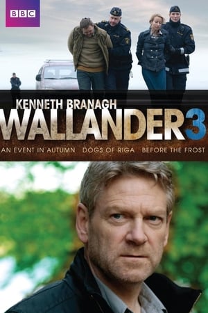 Wallander 3. évad (2012-07-08) poszter