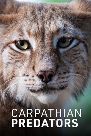 Carpathian Predators 1. évad (2019-01-01) poszter