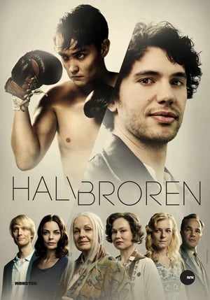 Halvbroren