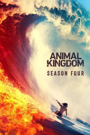 Animal Kingdom 4. évad (2019-05-28) poszter