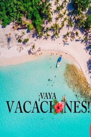 ¡Vaya vacaciones! poszter