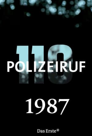 Polizeiruf 110 17. évad (1987-02-08) poszter