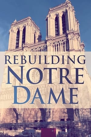 Rebuilding Notre-Dame poszter