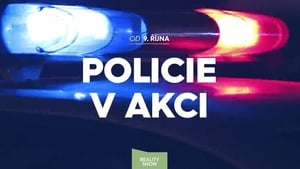 Policie v akci kép