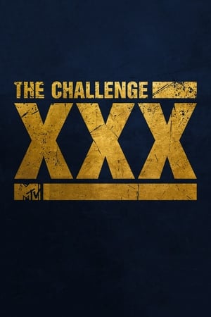 The Challenge 30. évad (2017-07-18) poszter