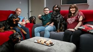 Gogglebox kép