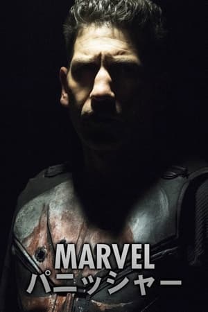 Marvel A Megtorló poszter