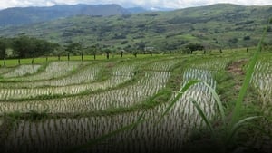 Anthony Bourdain: Parts Unknown 1. évad Ep.7 7. epizód