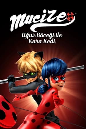 Miraculous - Katicabogár és Fekete Macska kalandjai poszter