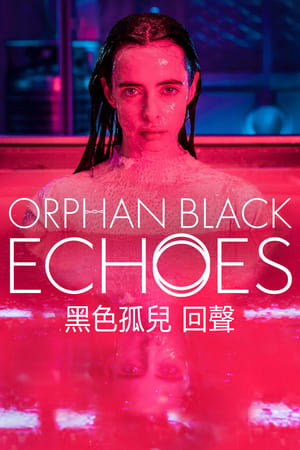 Orphan Black: Echoes poszter