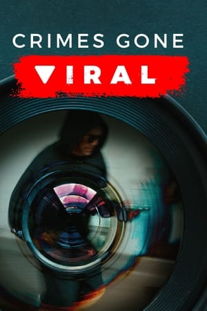 Crimes Gone Viral 4. évad (2023-08-22) poszter