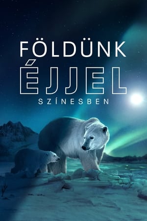 Földünk éjjel színesben poszter