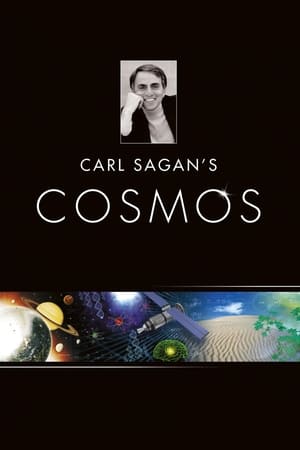 Carl Sagan: Kozmosz poszter