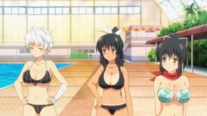 閃乱カグラ Speciális epizódok Ep.7 7. epizód