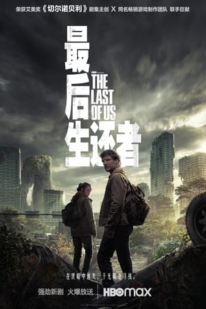 The Last of Us poszter