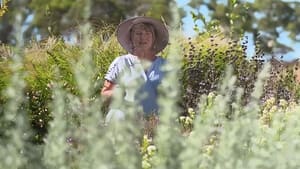 Gardening Australia 32. évad Ep.15 15. epizód