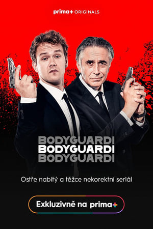 Bodyguardi poszter