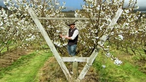 Gardening Australia 29. évad Ep.39 39. epizód