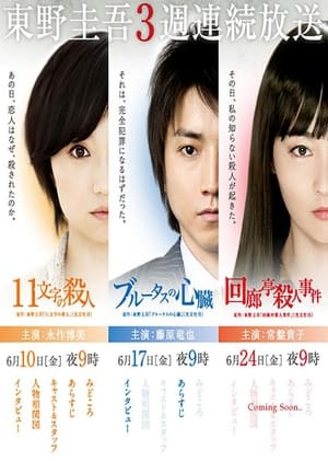 東野圭吾3週連続スペシャル 1. évad (2011-06-10) poszter