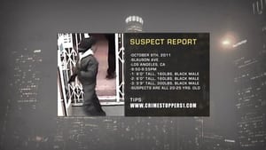 Crime Stoppers: Case Files 4. évad Ep.8 8. epizód