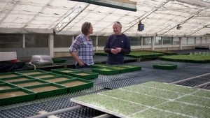 Gardening Australia 30. évad Ep.27 27. epizód