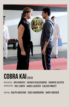 Cobra Kai poszter