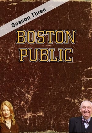 Boston Public 3. évad (2002-10-21) poszter