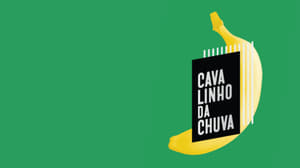 Cavalinho da Chuva kép