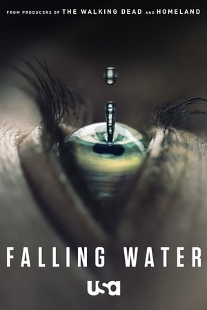 Falling Water poszter