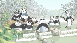 Pandas dans la brume kép