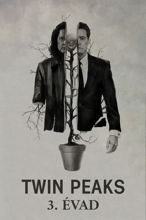 Twin Peaks Visszatérés (2017-05-21) poszter