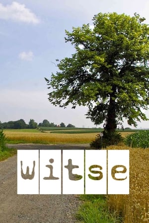 Witse poszter