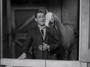 Mister Ed 1. évad Ep.14 14. epizód