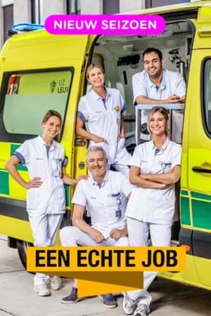 Een Echte Job 4. évad (2024-01-01) poszter