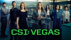 CSI: Las Vegas-i helyszínelők kép