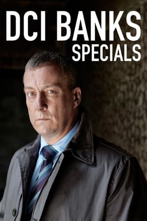 DCI Banks Speciális epizódok (2010-09-27) poszter