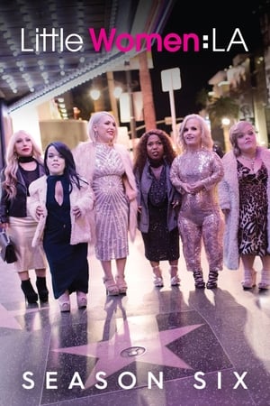 Little Women: LA 6. évad (2017-02-28) poszter