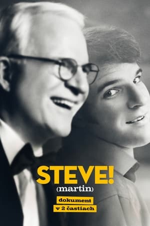 STEVE! (martin) dokumentumfilm 2 részben poszter