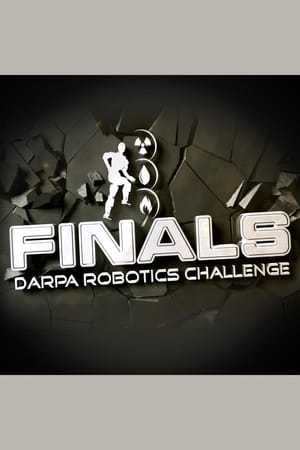 DARPA Robotics Challenge