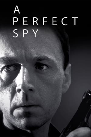 A Perfect Spy poszter