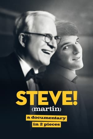 STEVE! (martin) dokumentumfilm 2 részben poszter