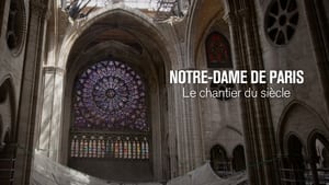 Rebuilding Notre-Dame kép