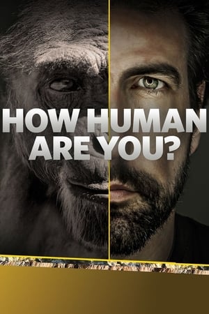 How Human Are You?