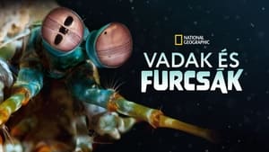 Vadak és furcsák kép